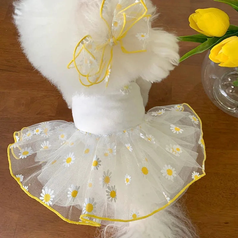 Summer thin dog coat in yellow little Daisy print for small to large dogs
