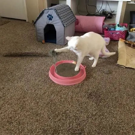 Interactive cat scratcher with ball track and replaceable scratch pad in blue or pink colour