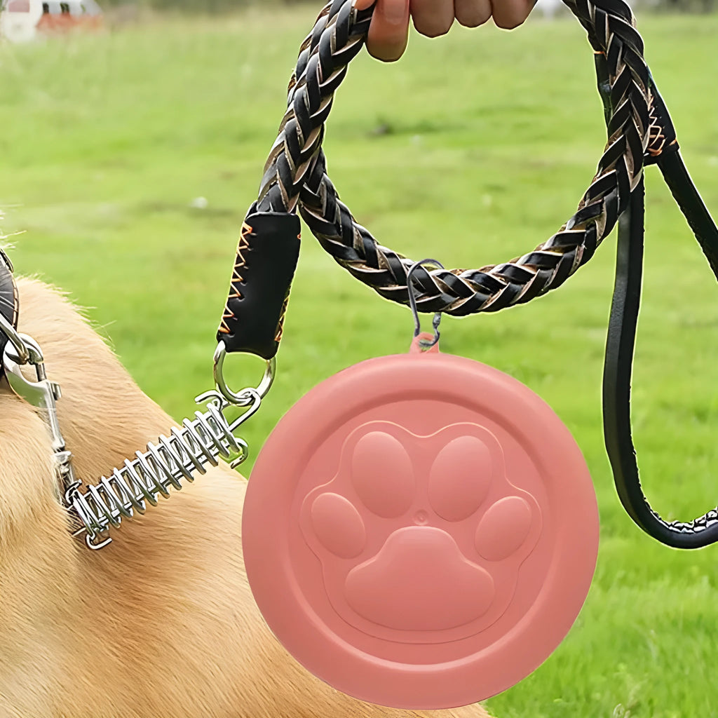 Collapsible portable silicone dog bowl shown in open and flat positions, available in green and pink colours.