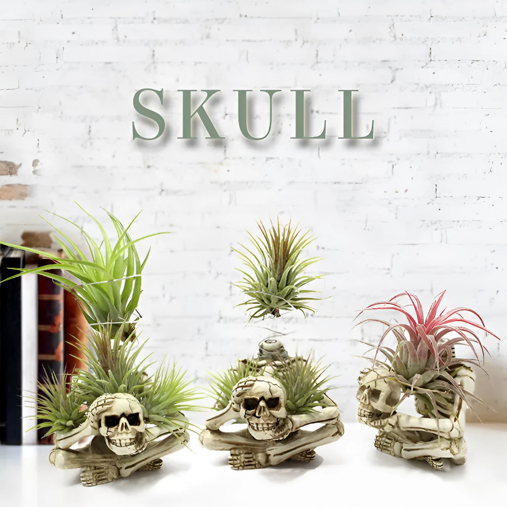 Gothic style resin air plant bracket with skull design for soilless tillandsia display
