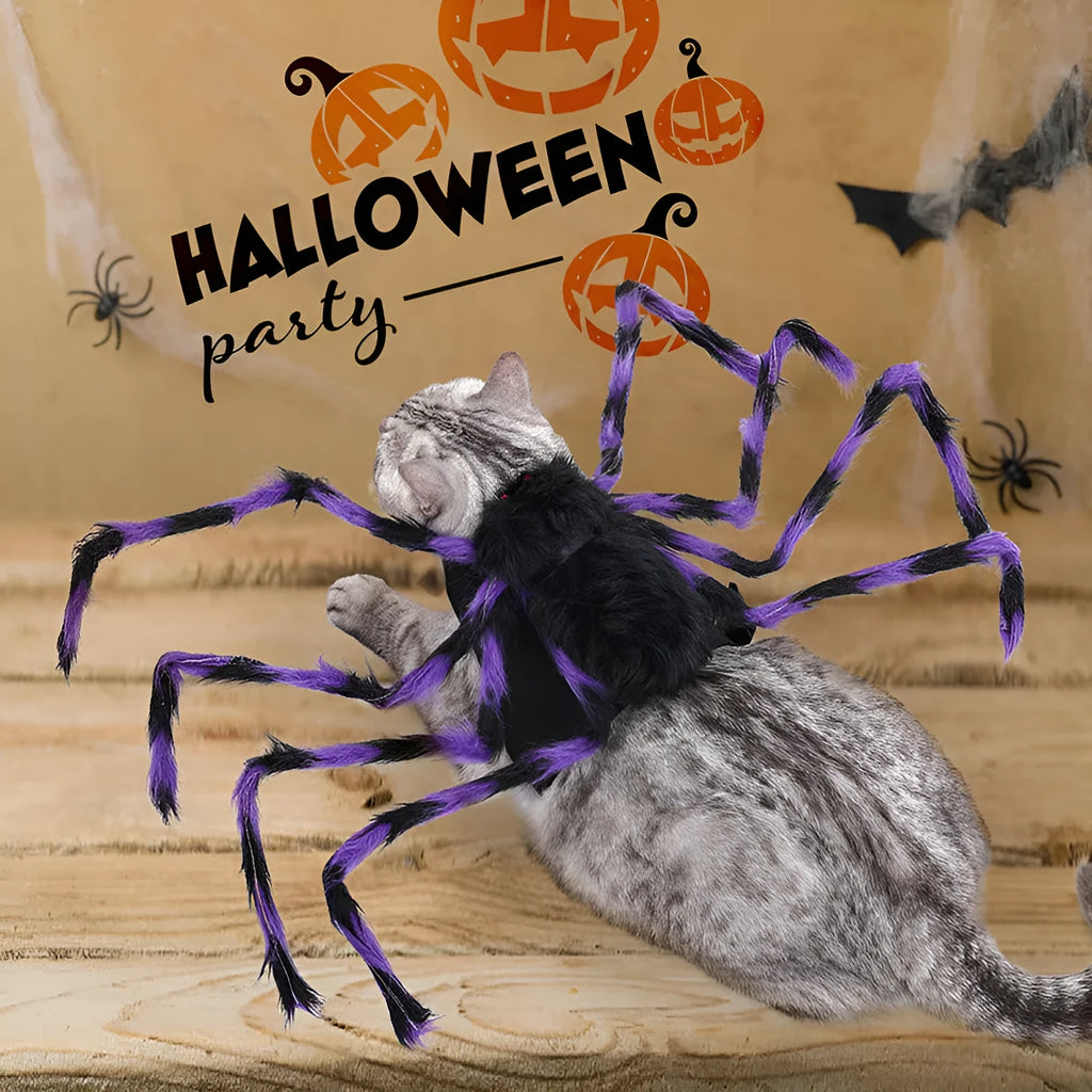 Halloween pet costume shaped like a big spider with eight legs, shown in grey colour.