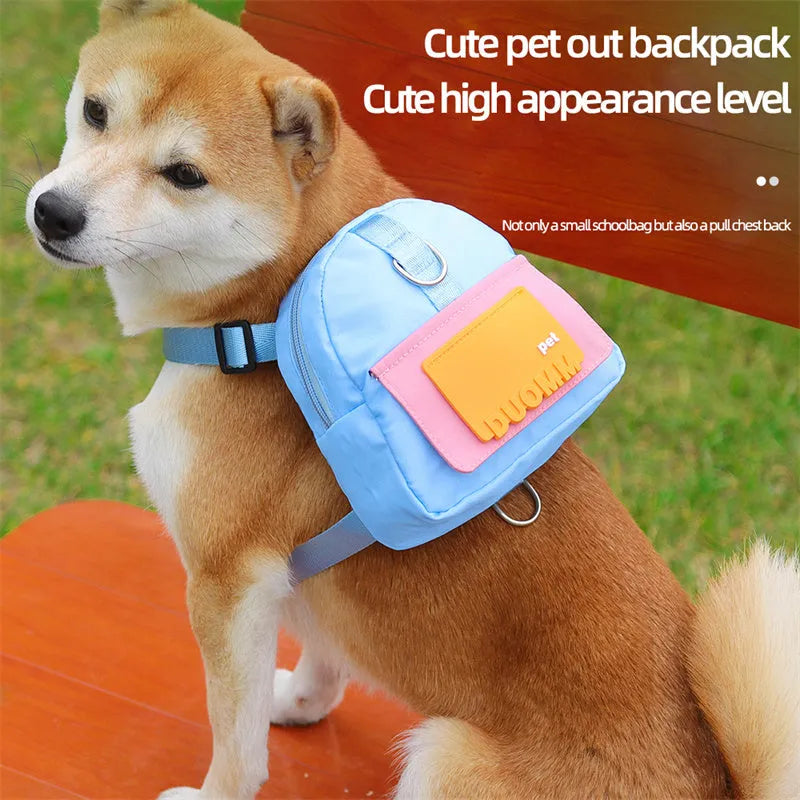 Blue pet snack storage backpack harness with breathable mesh and adjustable straps on a small dog outdoors