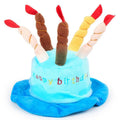 A blue or pink lightweight birthday hat for dogs on a white background.