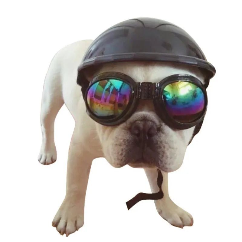 Plastic dog motorcycle helmet in pink colour showing solid design and structured form