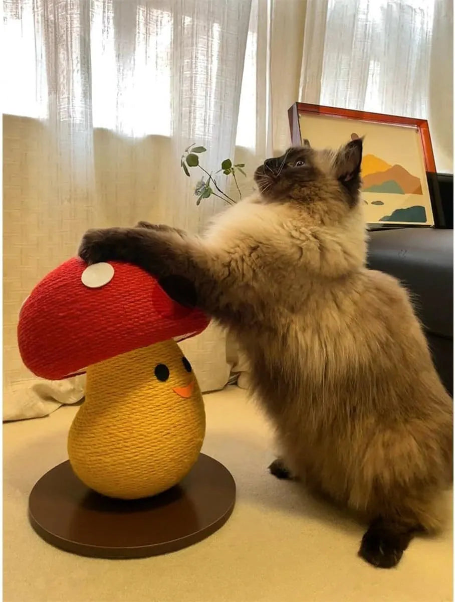 Round mushroom-shaped foldable cardboard cat scratcher lounge on a carpet.
