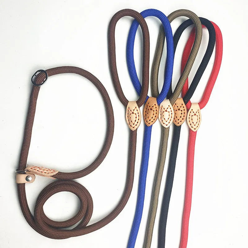 Blast race level training dog leash with black auto-tightening rope collar for secure control