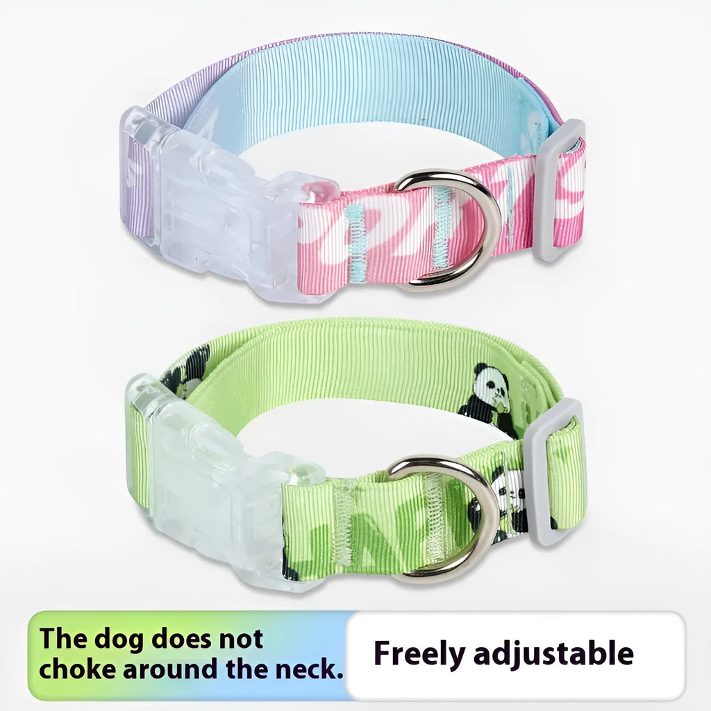 Adjustable nylon dog collar with cartoon gradient printing in gradient colour and panda green options