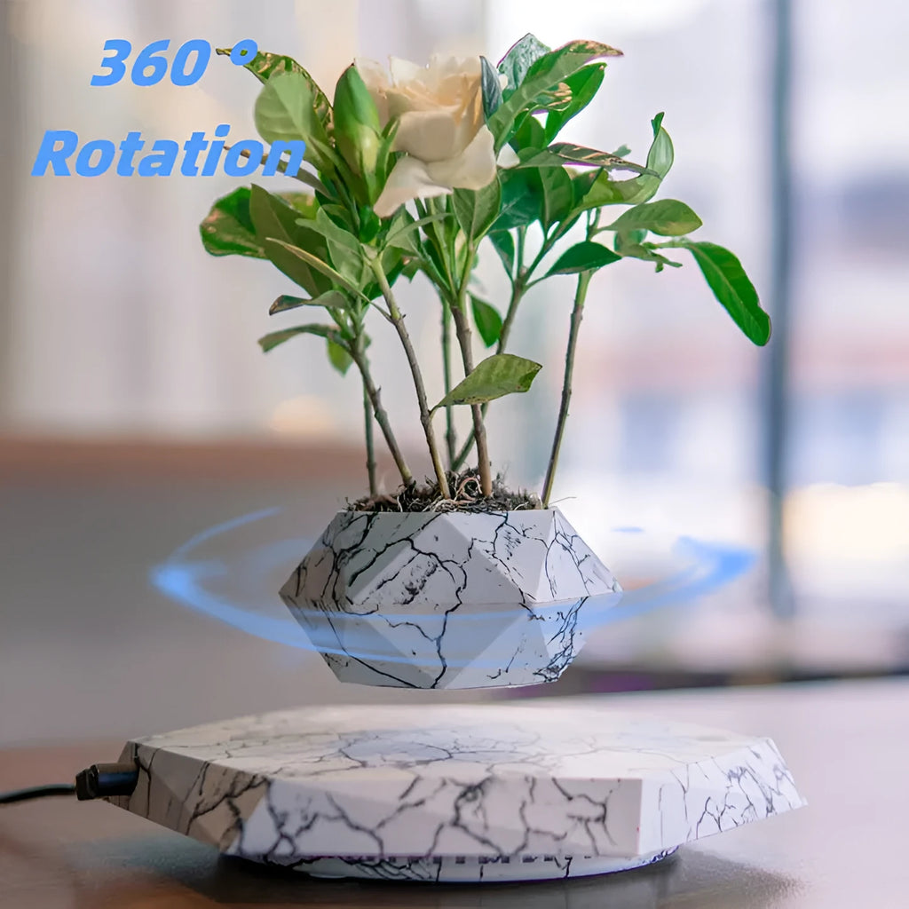 Marbled levitating plant pot floating in air with small plant under soft light
