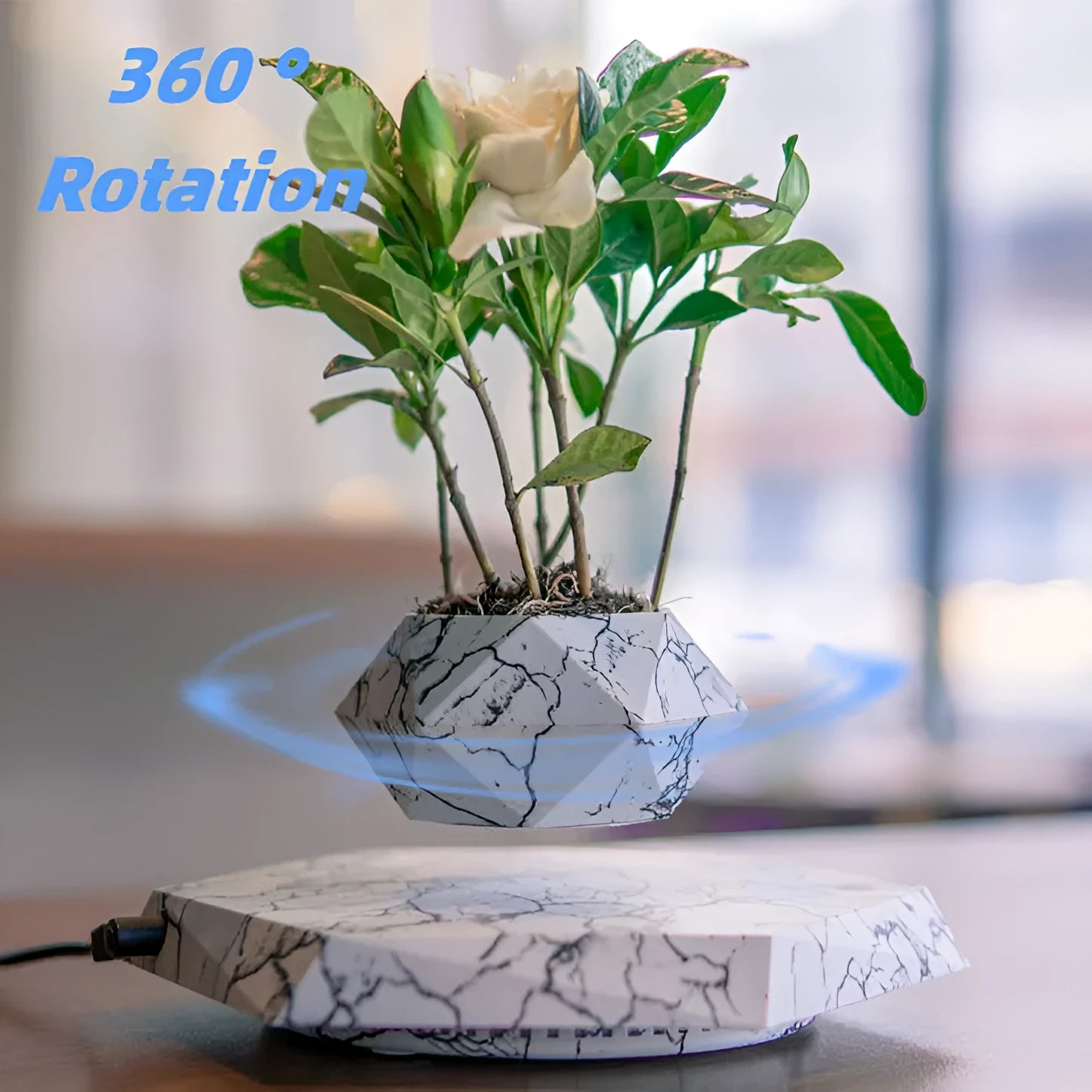 Marbled levitating plant pot floating in air with small plant under soft light