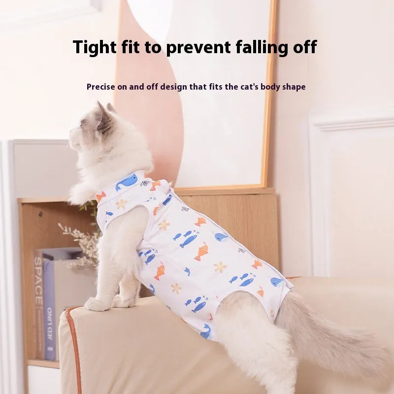 Cat wearing a post-operative sterilisation recovery suit with Velcro fastenings on its side.