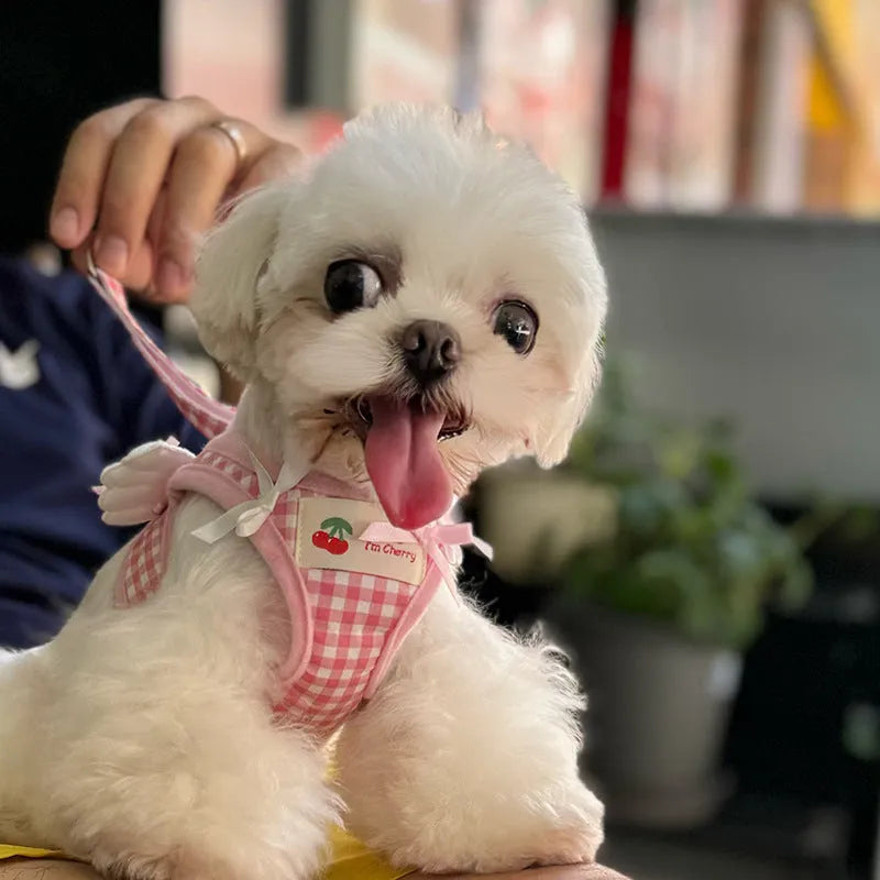 Cotton chest-back dog harness with hand holding rope for small dogs in pink colour