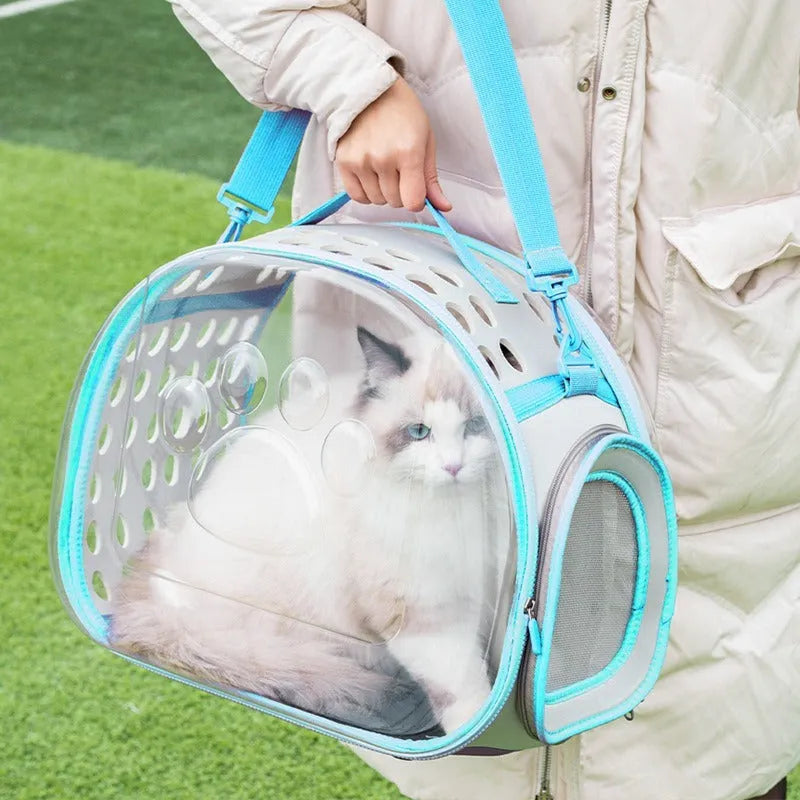 Hard EVA transparent cat backpack space capsule carrier in grass green colour showing 42x28x35cm dimensions