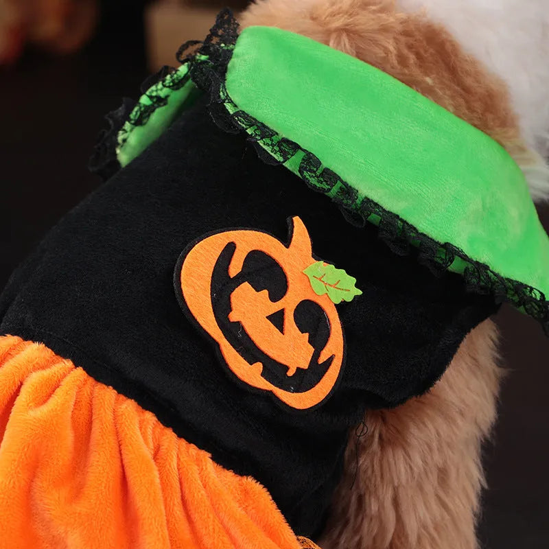 Halloween pet costume for small dog, shown as a crystal velvet pumpkin skirt and festive sweater.