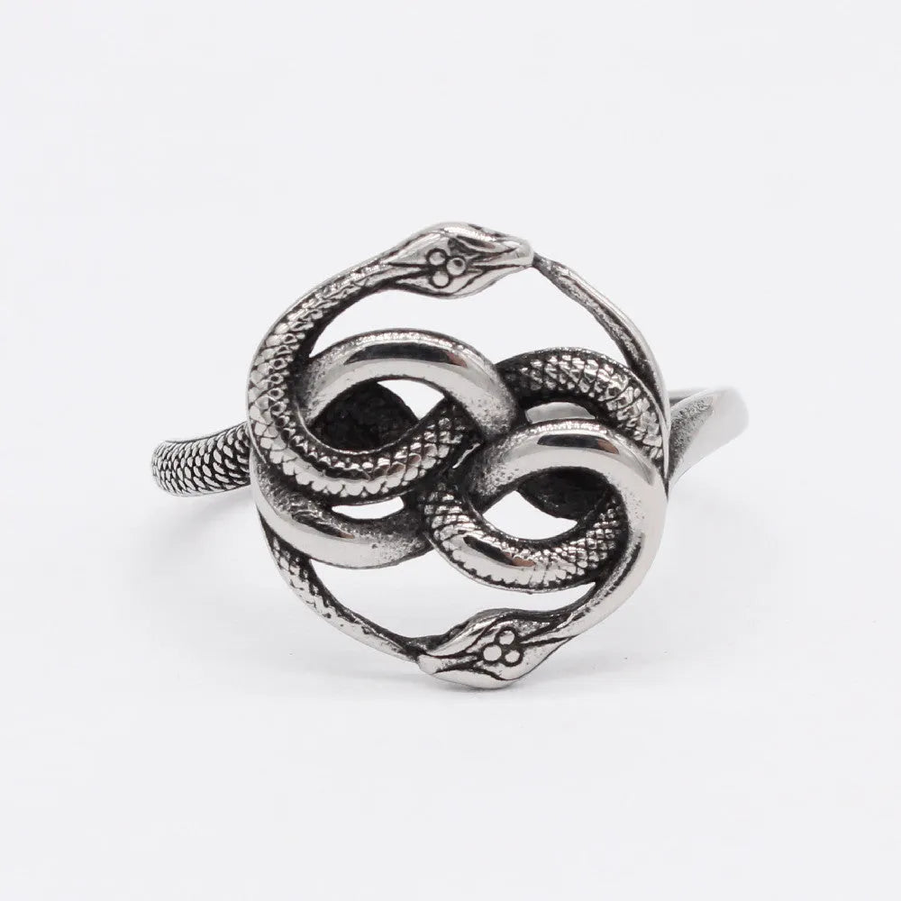 Steel colour titanium steel double snake ring on a finger, showing retro design.