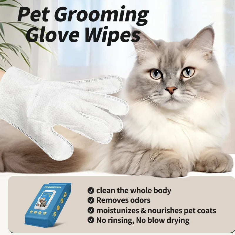 Disposable pet gloves pack for cat and dog bath cleaning with wash-free design