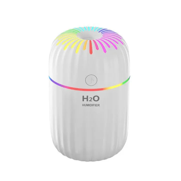 Mini car USB aromatherapy humidifier in animal design with 0.5L water tank capacity