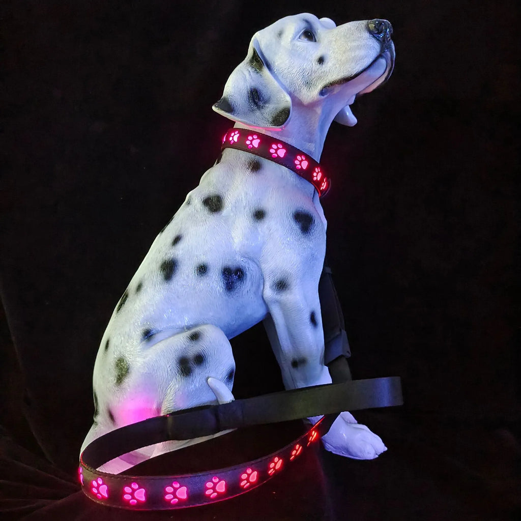 LED luminous dog collar showing seven colour lights and paw print pattern on polyester material