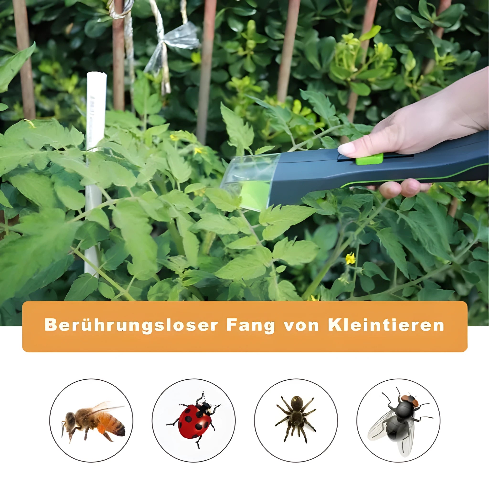 Green plastic handheld insect catcher for garden and grass pest control