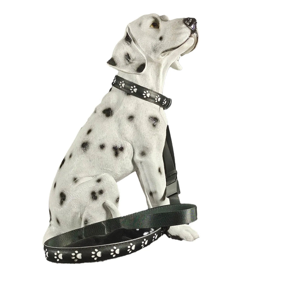 LED luminous dog collar showing seven colour lights and paw print pattern on polyester material