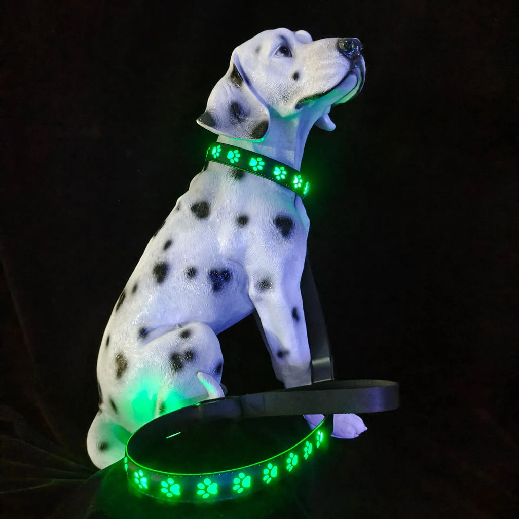 LED luminous dog collar showing seven colour lights and paw print pattern on polyester material