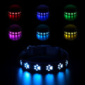 LED luminous dog collar showing seven colour lights and paw print pattern on polyester material
