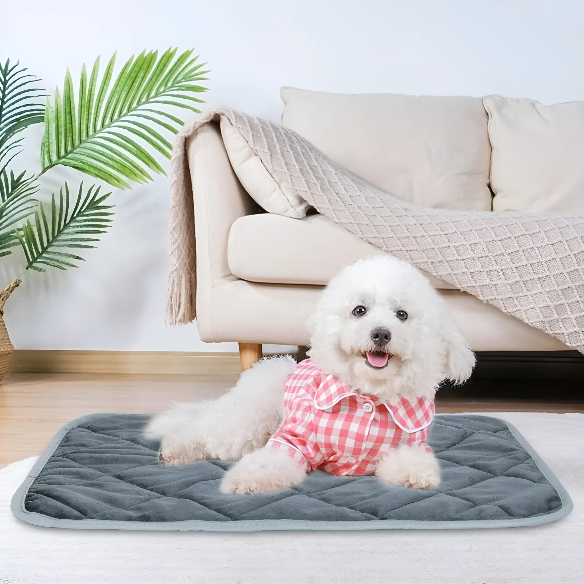 Multi-layer pet cushion in crystal soft grey cloth, 40x50cm size, on floor
