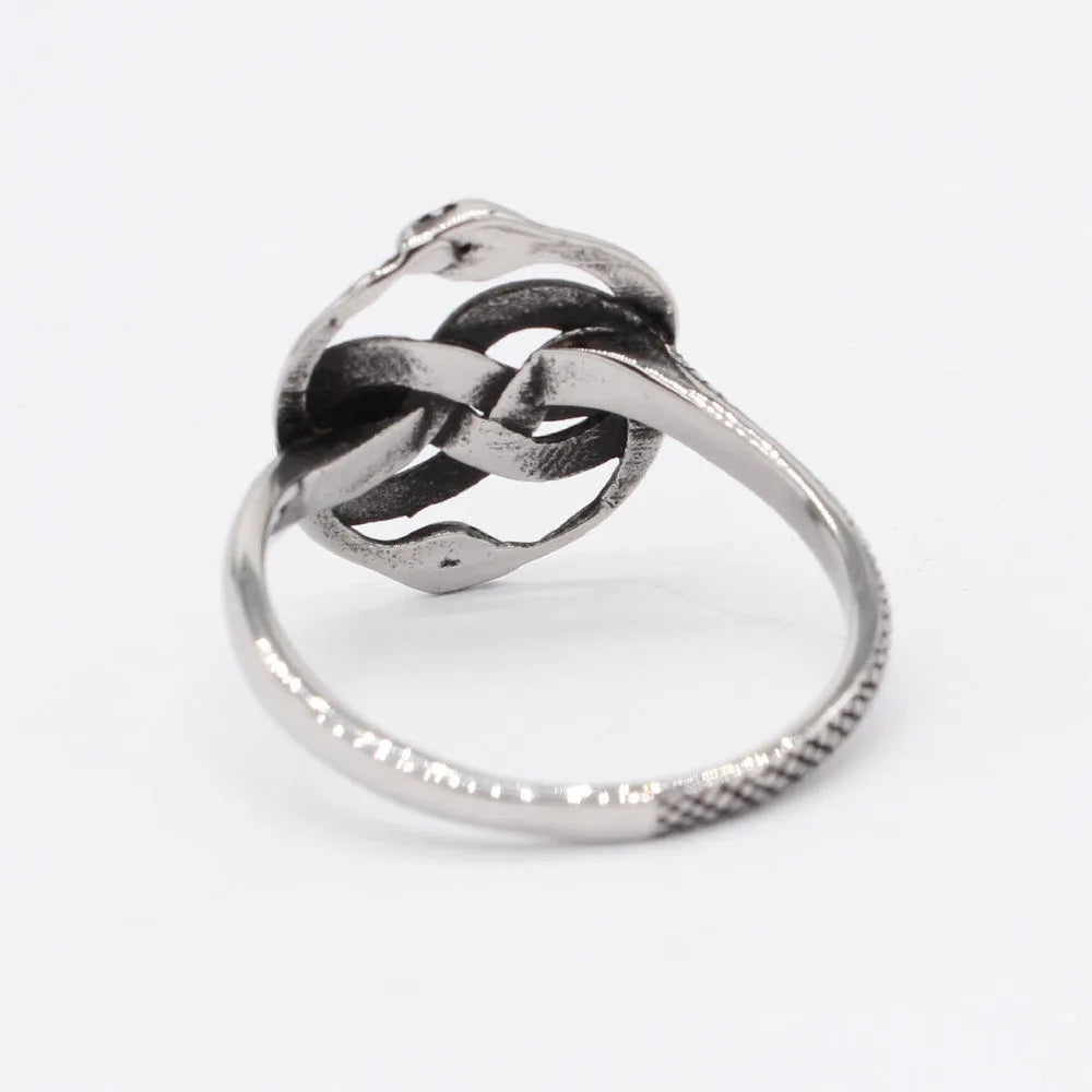 Steel colour titanium steel double snake ring on a finger, showing retro design.