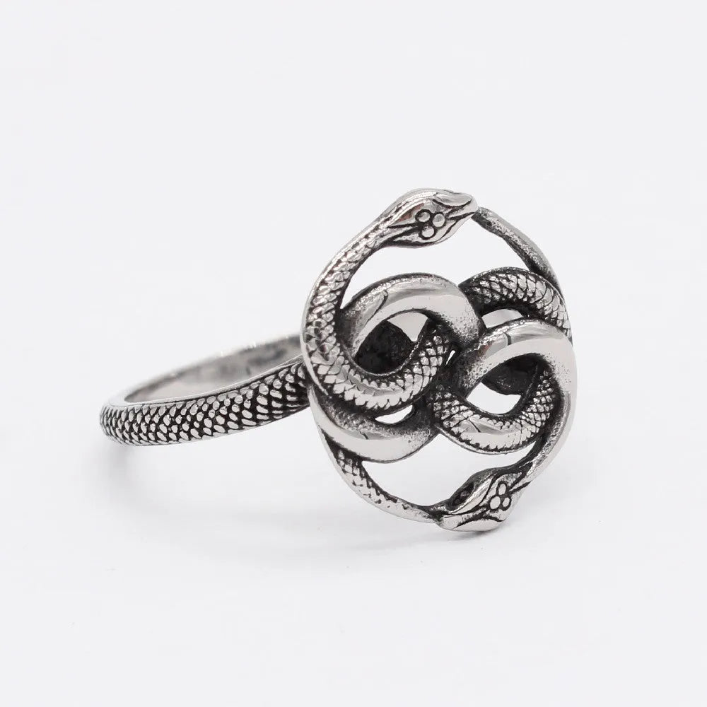 Steel colour titanium steel double snake ring on a finger, showing retro design.