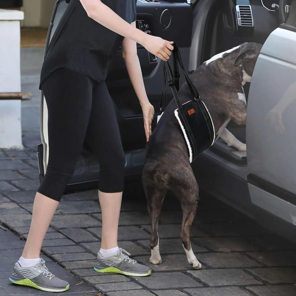 Portable dog sling with reflective nylon straps and padded handle, supporting a dog's hind legs