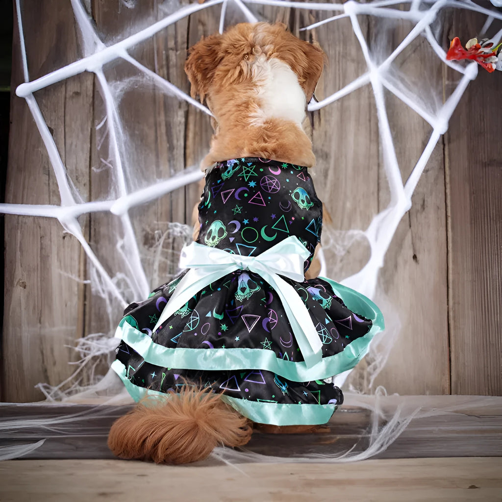 Halloween dog skirt with colourful pumpkin or skull print on double-layer polyester.