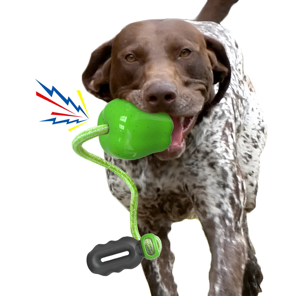 Plastic food dropping ball dog molar toy in green and red colour options