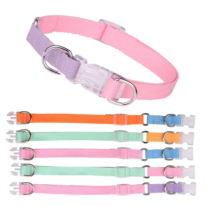 Polyester three-piece dog collar set with ribbon collar, lead, and chest strap in pink and green colour combination