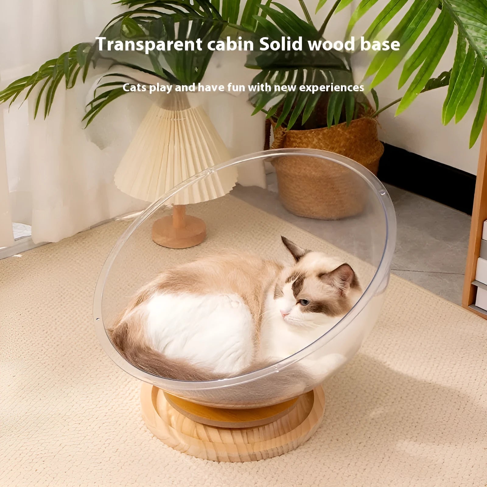 Transparent acrylic cat space capsule bathtub bed cage with multiple size options