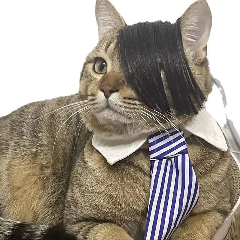 Black polyester cat wig with imitation braid design for fox costume dressing