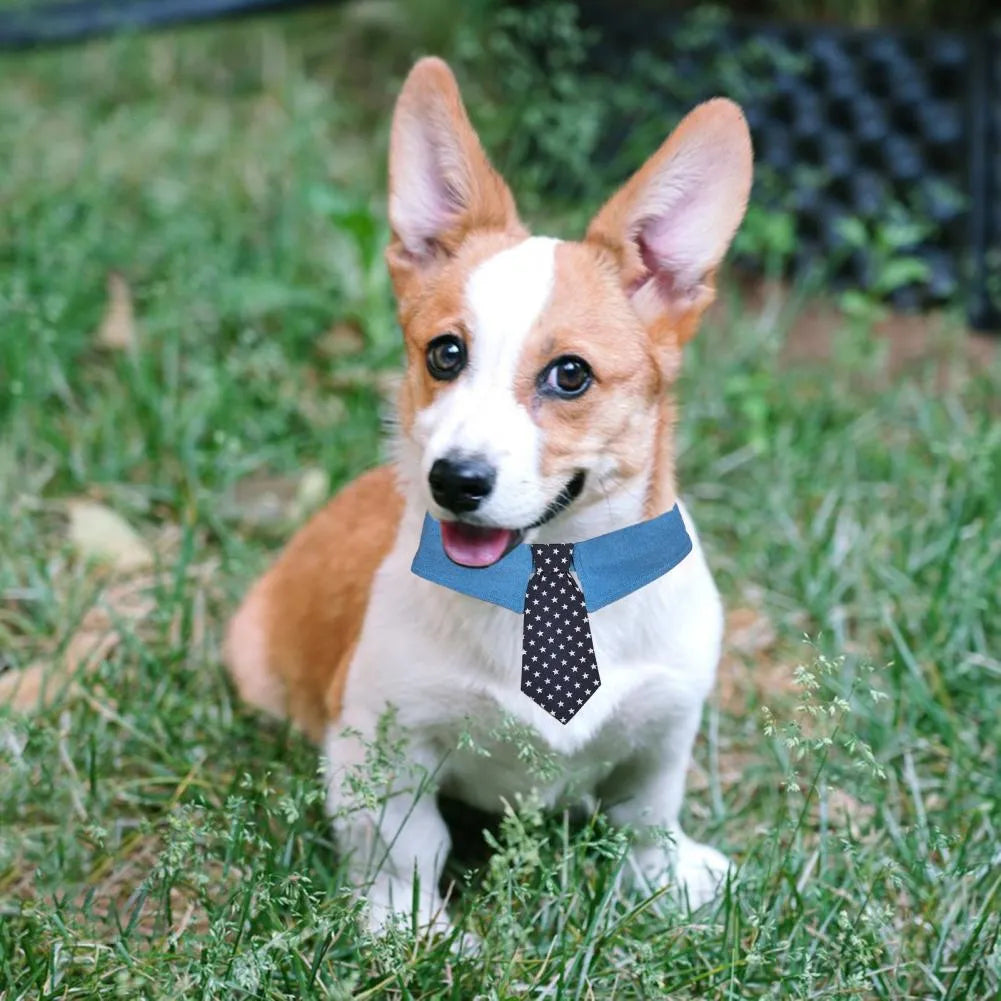 Denim pet collar with star pattern and bow tie on a table, adjustable fastener tape closure