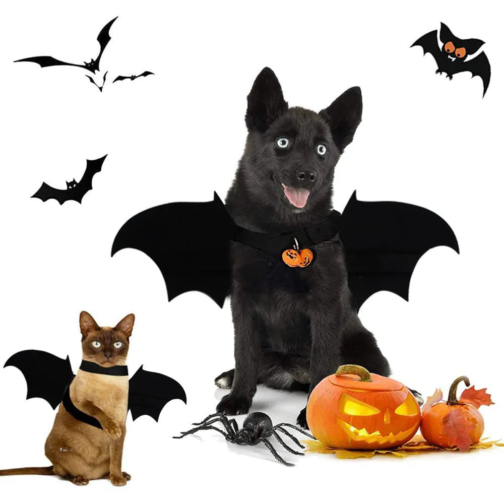 Blue dog wearing cloth costume with cat print bat wings and bell on grass