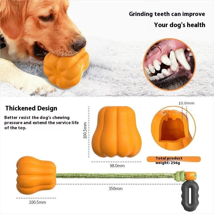 Pumpkin orange plastic dog chew toy with rope detail for outdoor fetch and molar cleaning