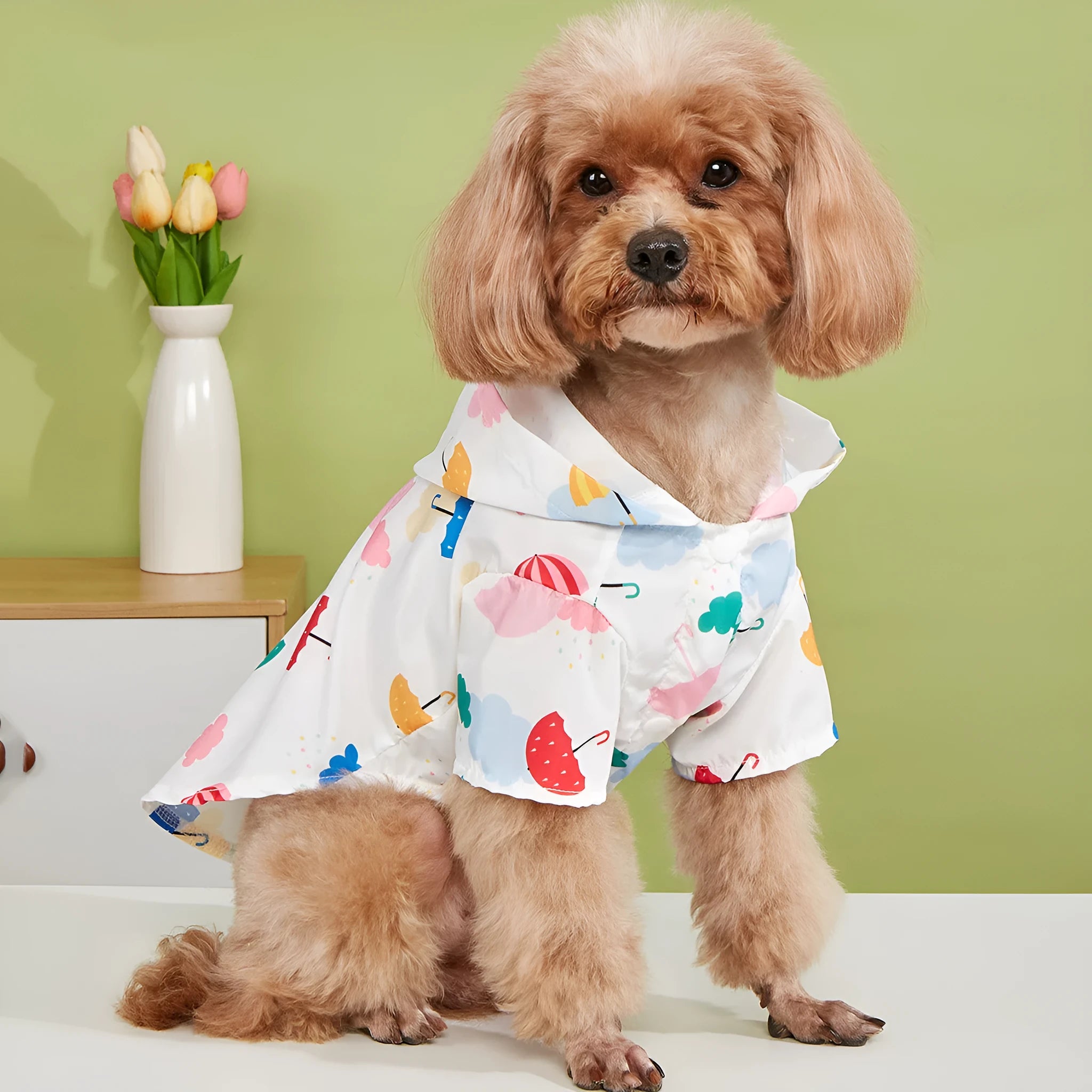 Colourful cartoon umbrella pattern dog raincoat on a model dog, showing polyester fabric and weather protection design.