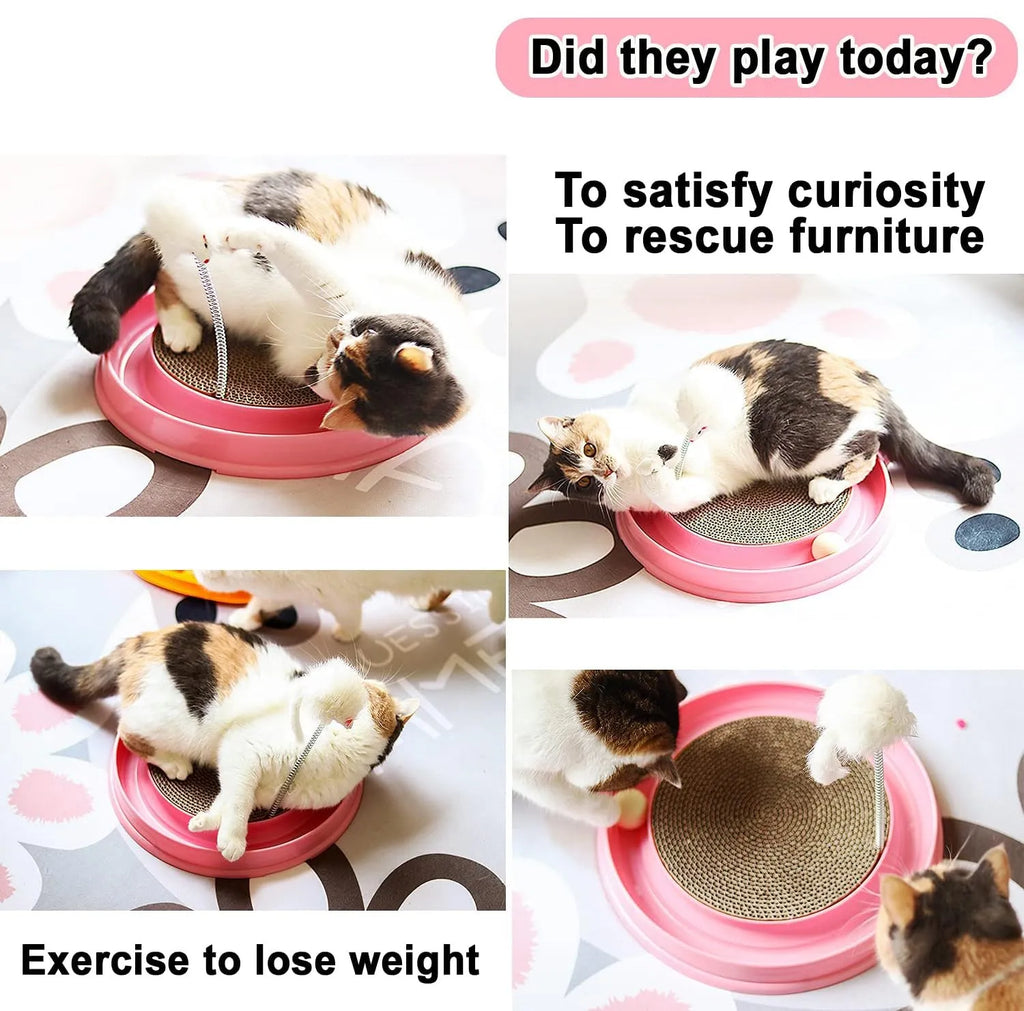 Interactive cat scratcher with ball track and replaceable scratch pad in blue or pink colour