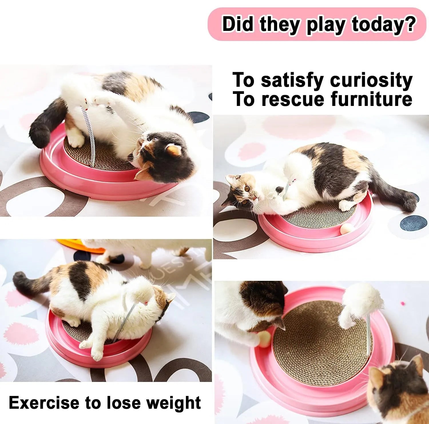 Interactive cat scratcher with ball track and replaceable scratch pad in blue or pink colour