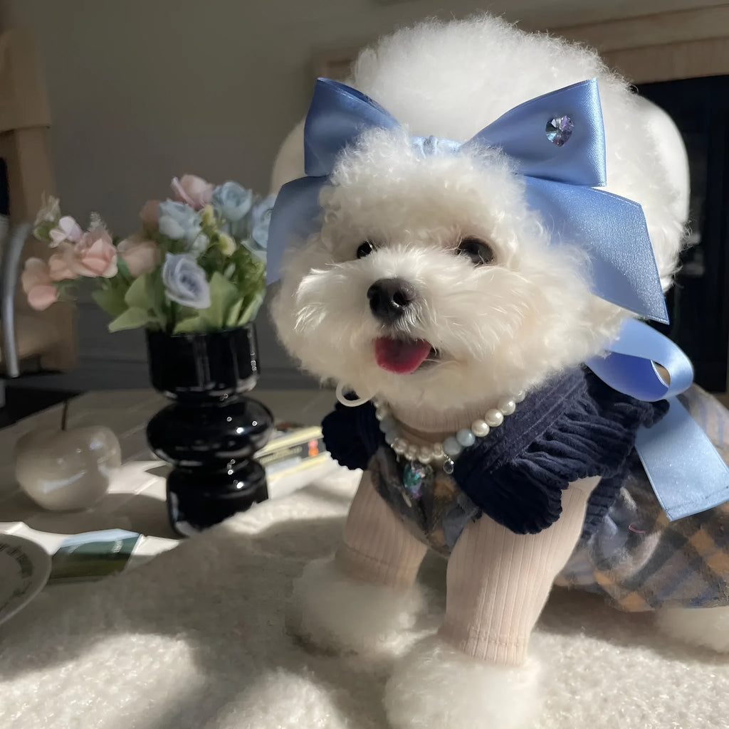 Adjustable princess style dog hair band with bow tension on small dog