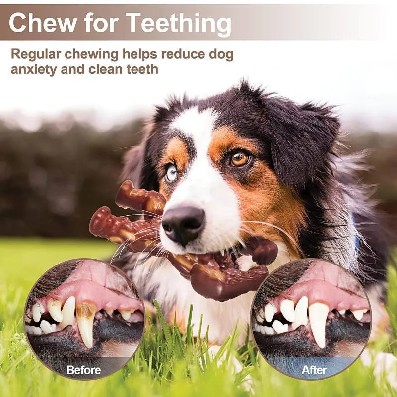 Scarlet-coloured nylon molar-shaped chew toy for dogs on a white background.