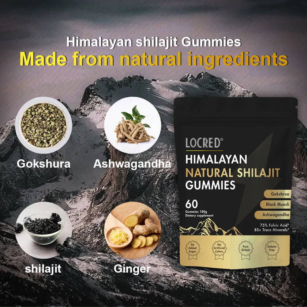 Pouch of vegan shilajit gummies with fulvic acid and trace minerals, 60 count, natural berry flavour