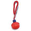 Blue dog toy with a textured rubber ball attached to a rope, shown on a white background.