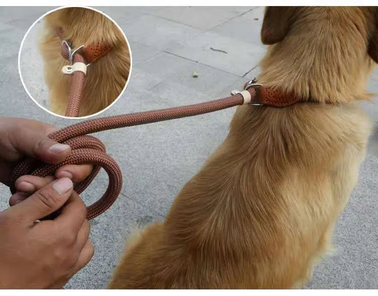 Brown nylon dog leash with hand loop, shown at full 2.1 metre length.