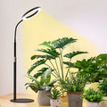 6-inch Angel Ring LED floor plant grow light with retractable aluminium stand extended to full height