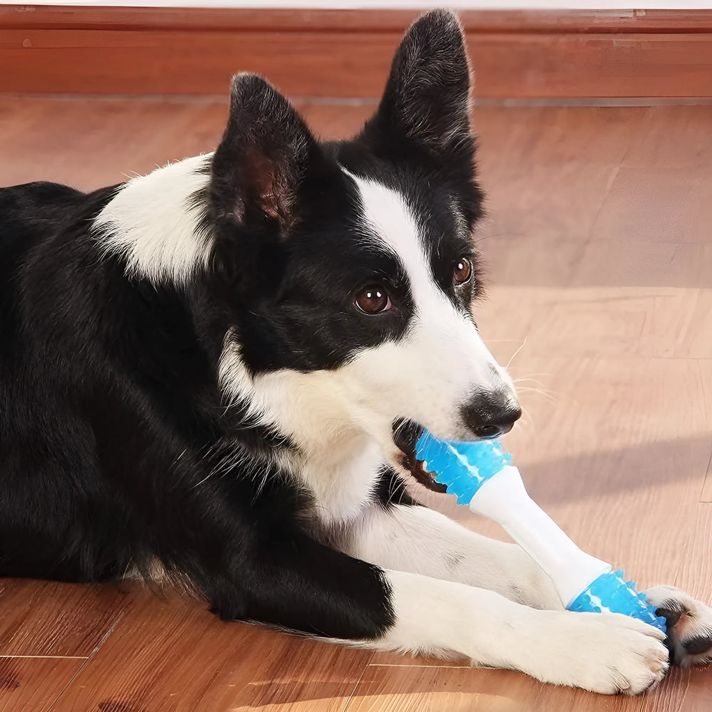 Dual-colour TPR rubber puppy teething chew toy in small, medium, and large sizes.