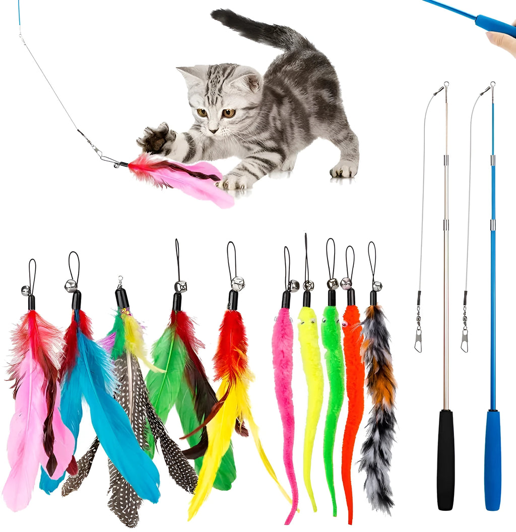Cat teaser toy with extendable fishing rod and multiple feather replacement heads for interactive play