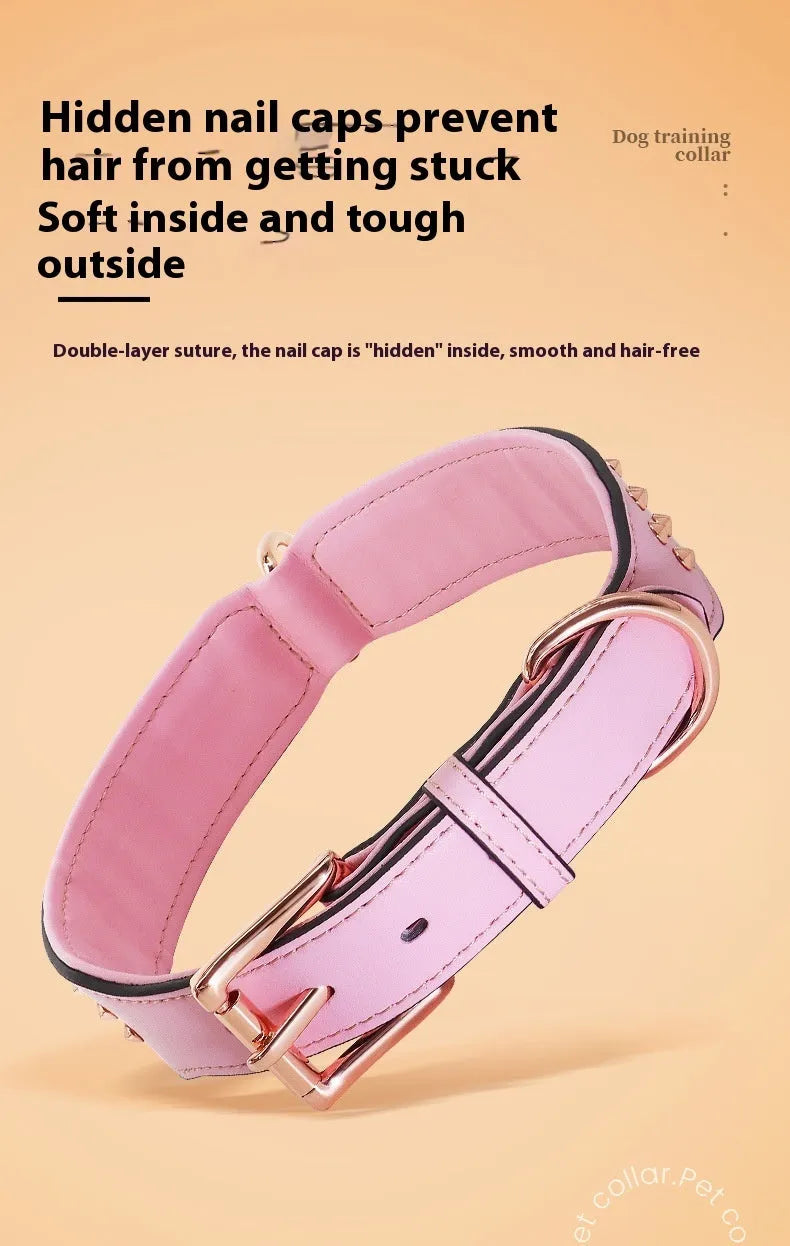 Brown leather dog collar with metal rivets and a silver buckle, shown on a black background.