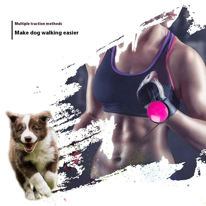 Automatic retractable dog leash extended to 3 metres with secure clip attachment